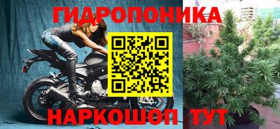 стафф Обь
