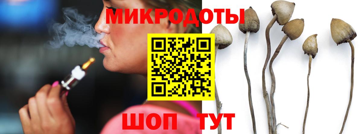 Псилоцибиновые грибы Psilocybe Семёнов